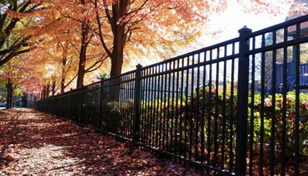 Fence
