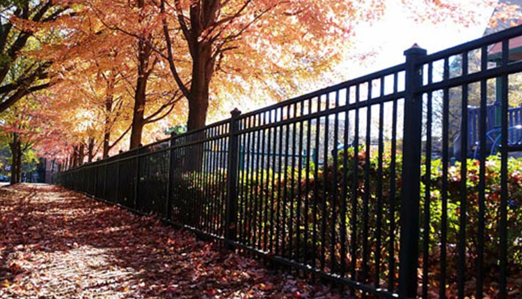 Fence