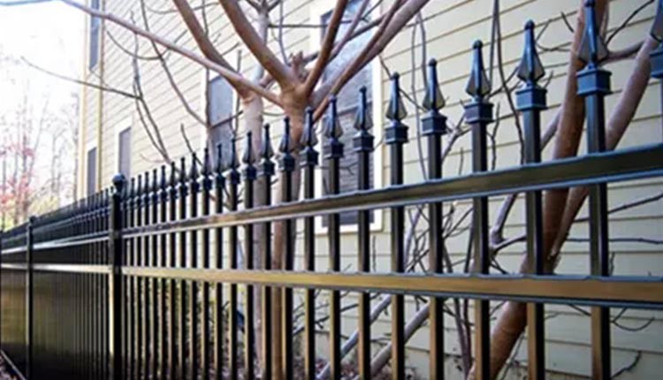 Fence